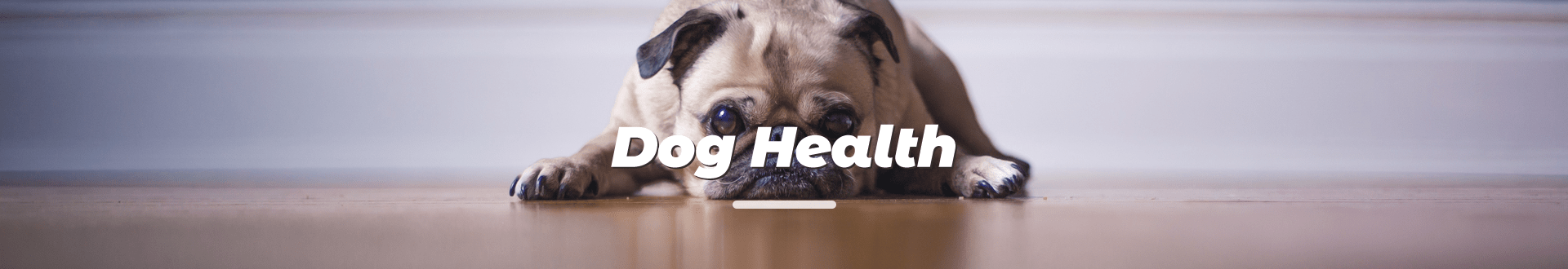 Dog Health