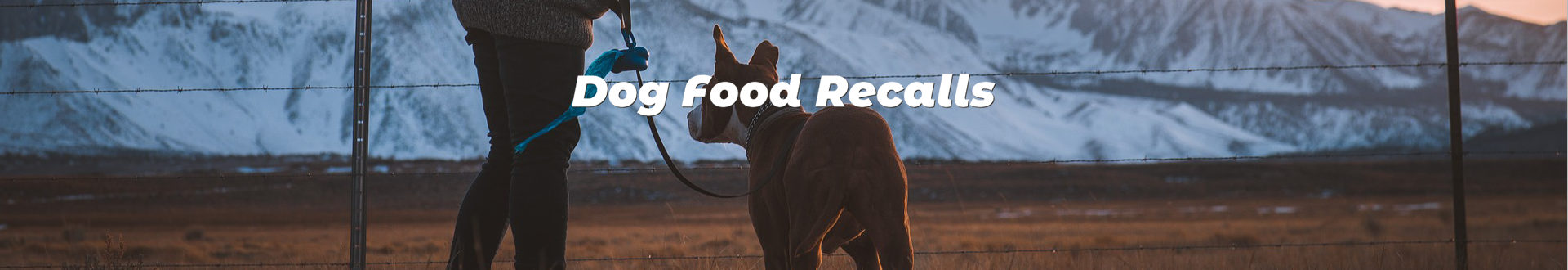 DOG FOOD RECALLS